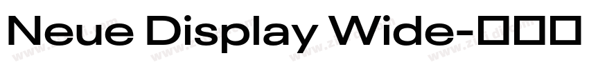 Neue Display Wide字体转换
